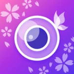 YouCam Perfect Mod Apk